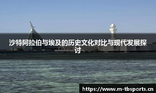 沙特阿拉伯与埃及的历史文化对比与现代发展探讨